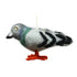 Pigeon Ornament