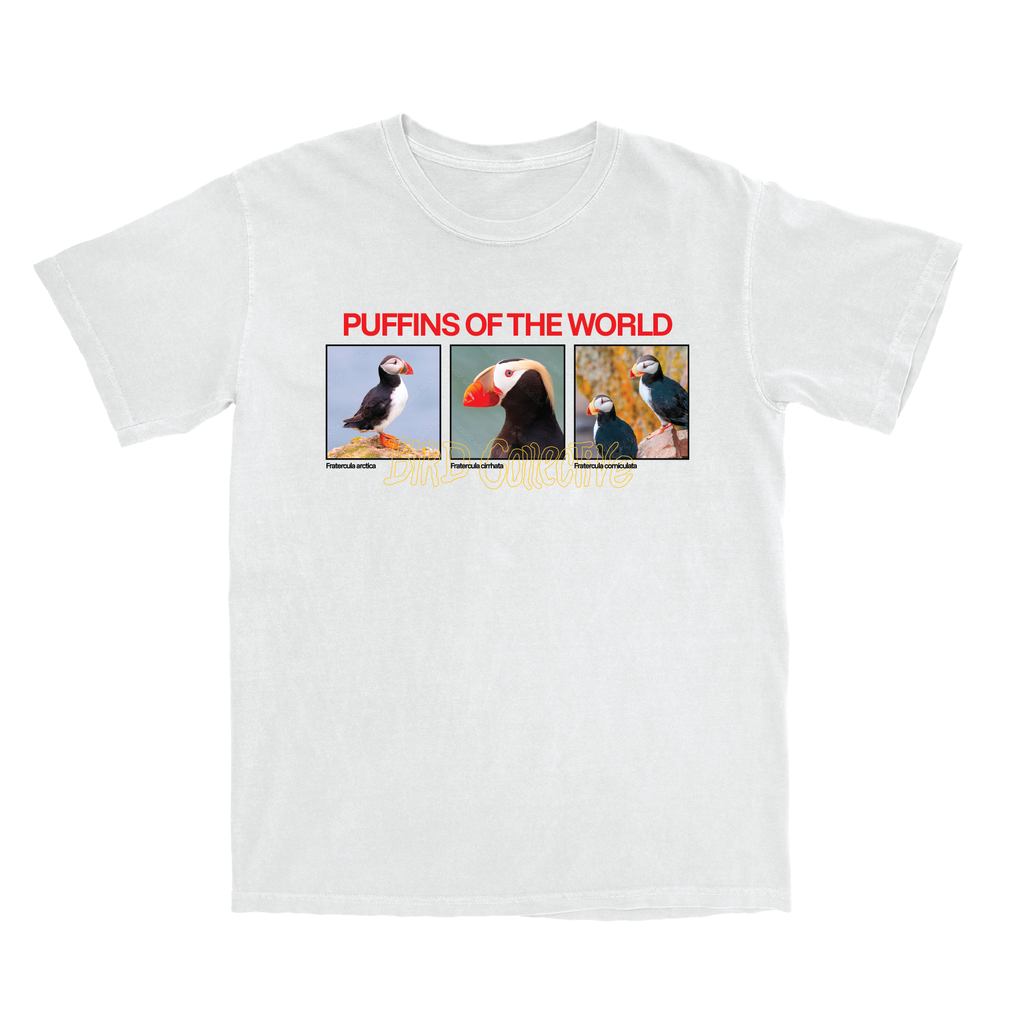 Puffins of the world tee in white featuring photos and scientific names of the Atlantic Puffin, Tufted Puffin, and Horned Puffin.