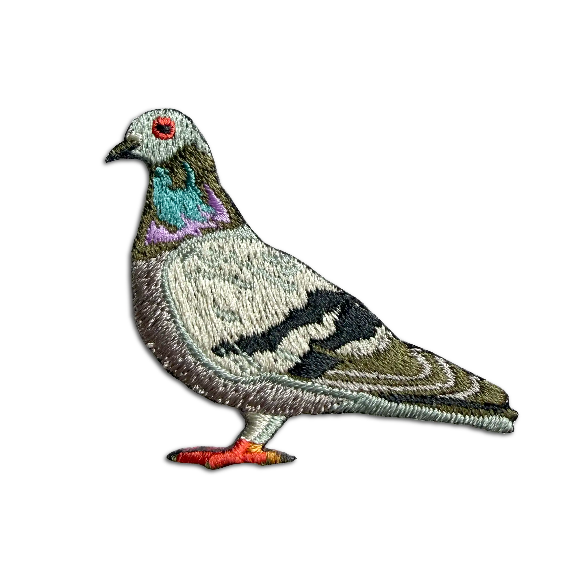 Rock Pigeon Patch