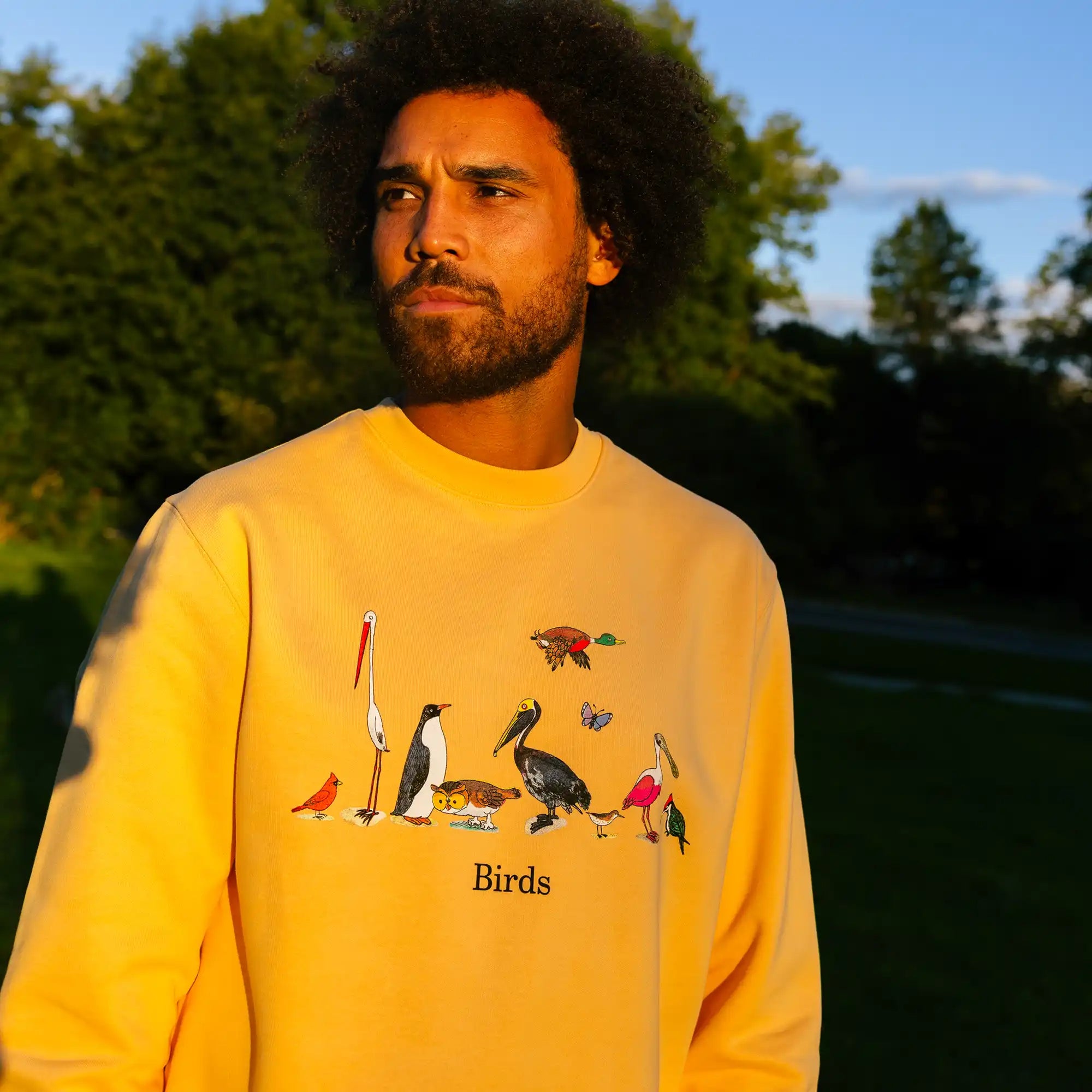 sweatshirt
