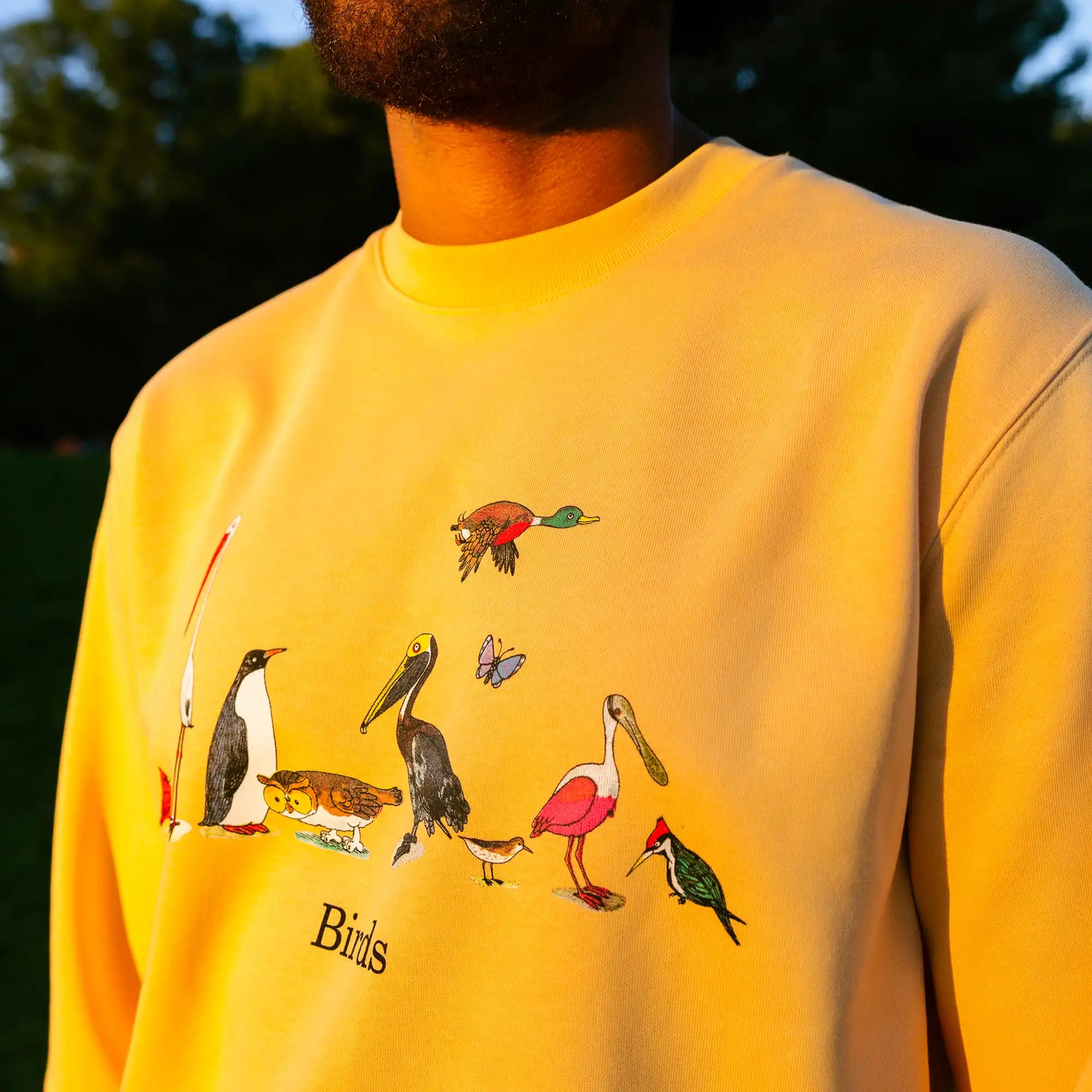 sweatshirt