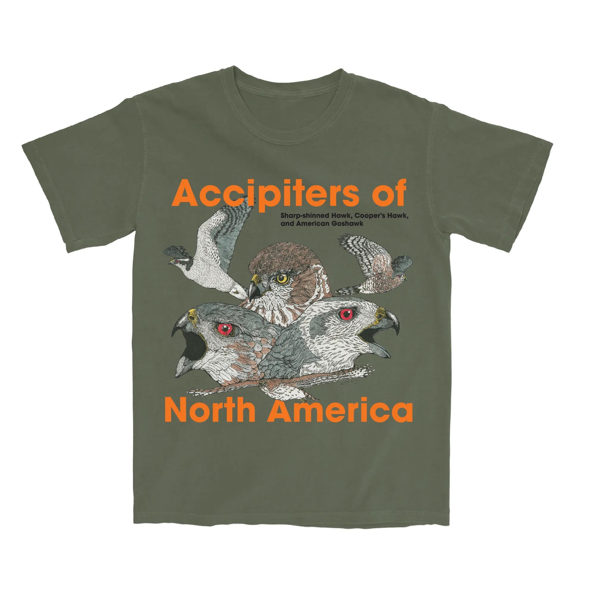 Bird Collective - Accipiters T-Shirt - S - Olive