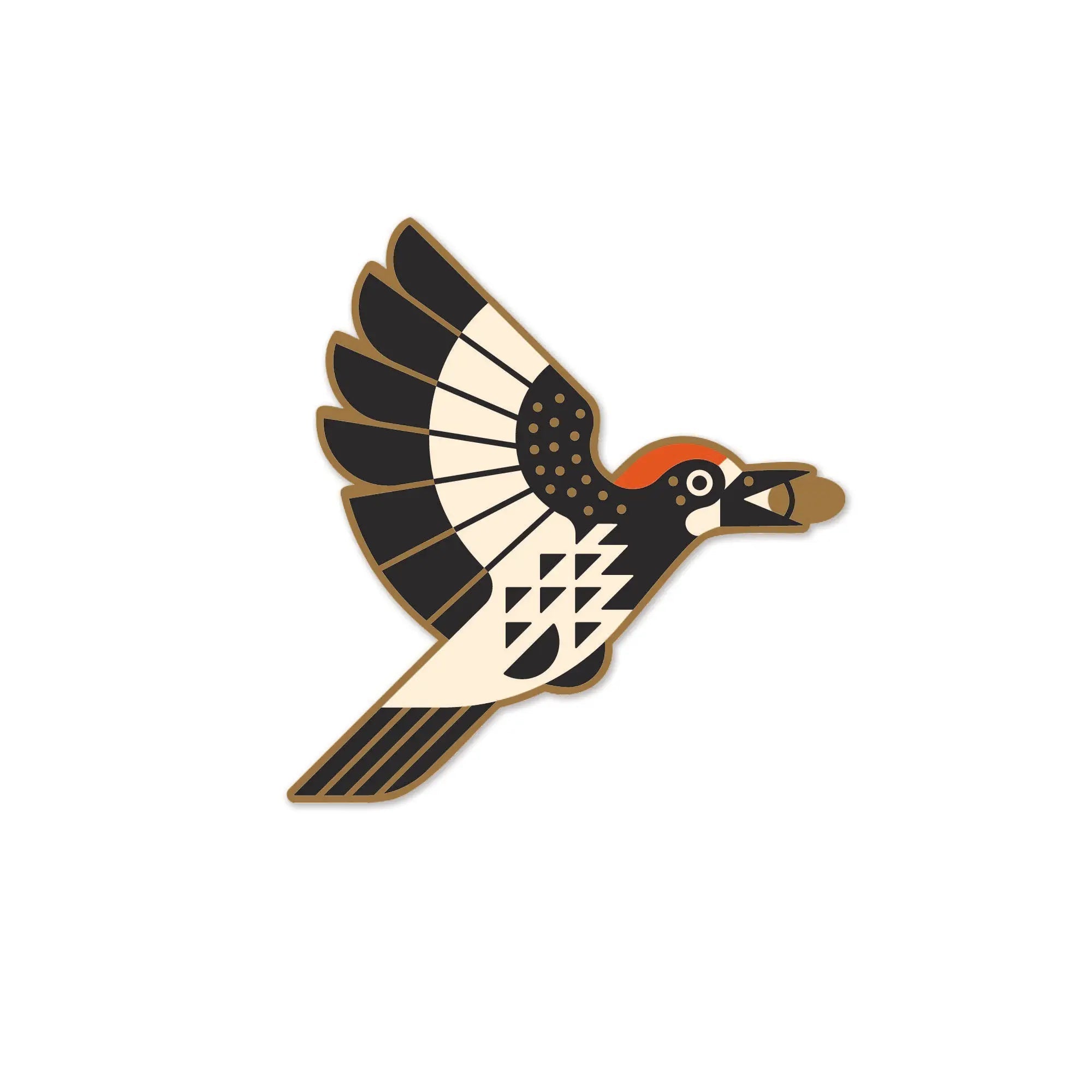 Acorn Woodpecker Sticker - Bird Collective