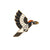 Bird Collective - Acorn Woodpecker Sticker - -