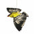 American Goldfinch Ornament - Bird Collective