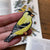 Bird Collective - American Goldfinch Patch - -