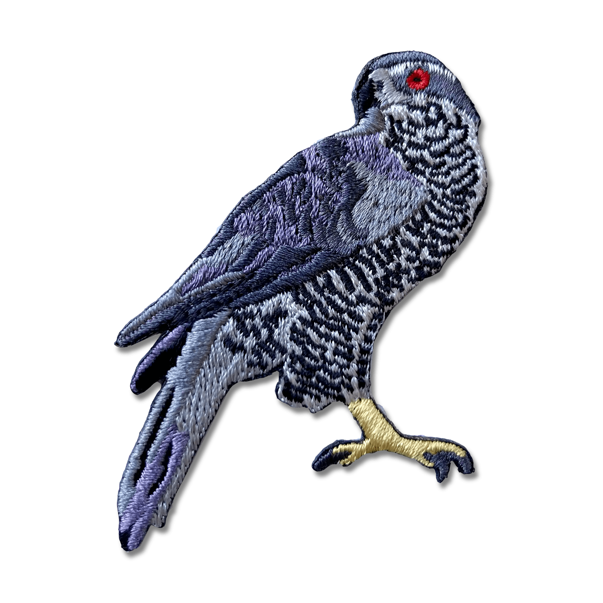 American Goshawk Patch - Bird Collective