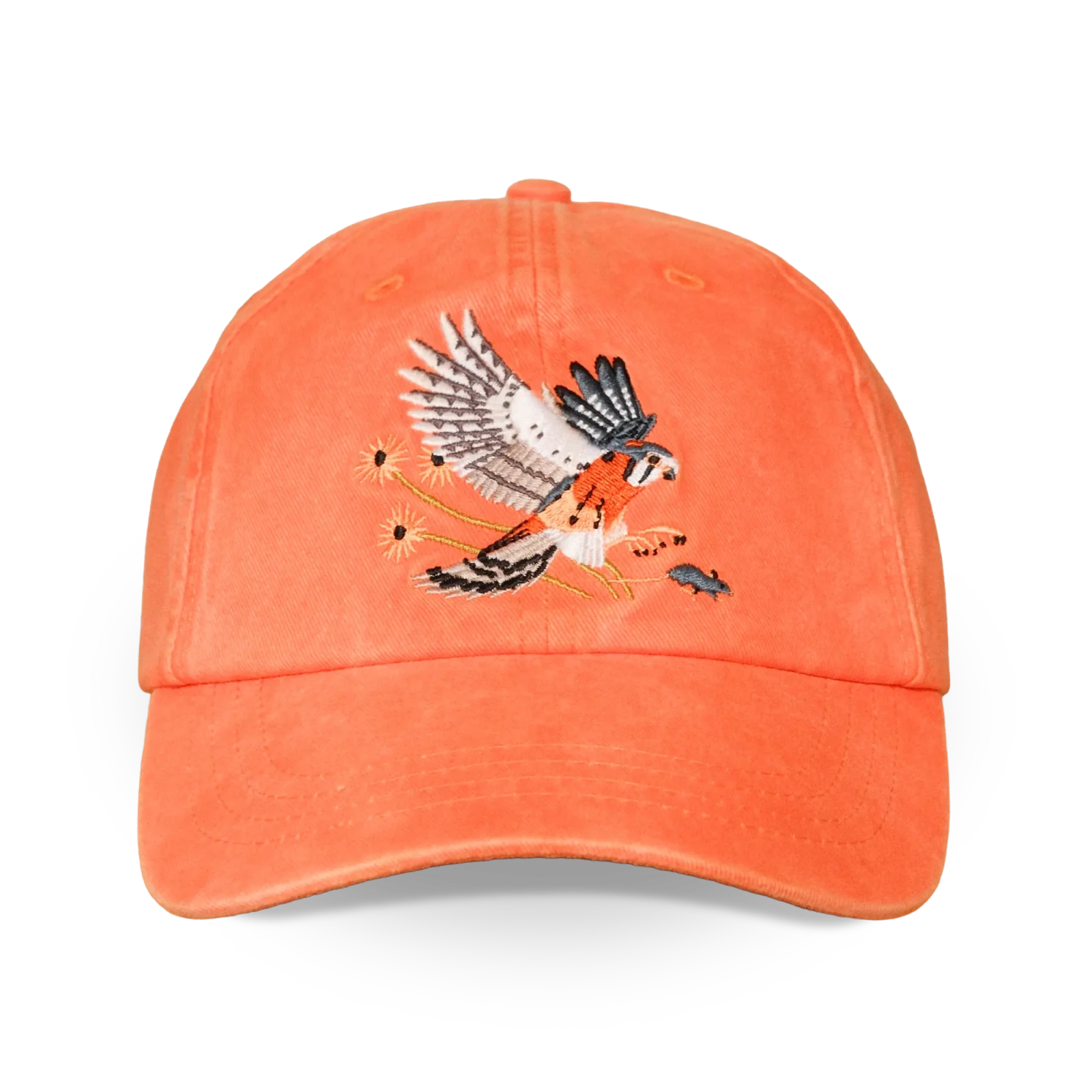 Bird Collective - American Kestrel Washed Hat - 