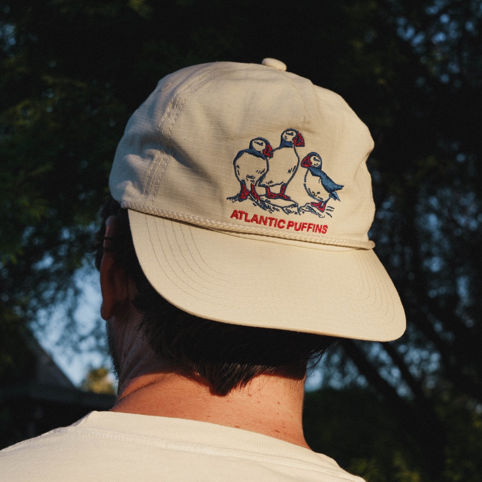Bird Collective - Atlantic Puffins Hat - 