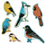 Bird Collective - Backyard Birds Jumbo Sticker Pack - -