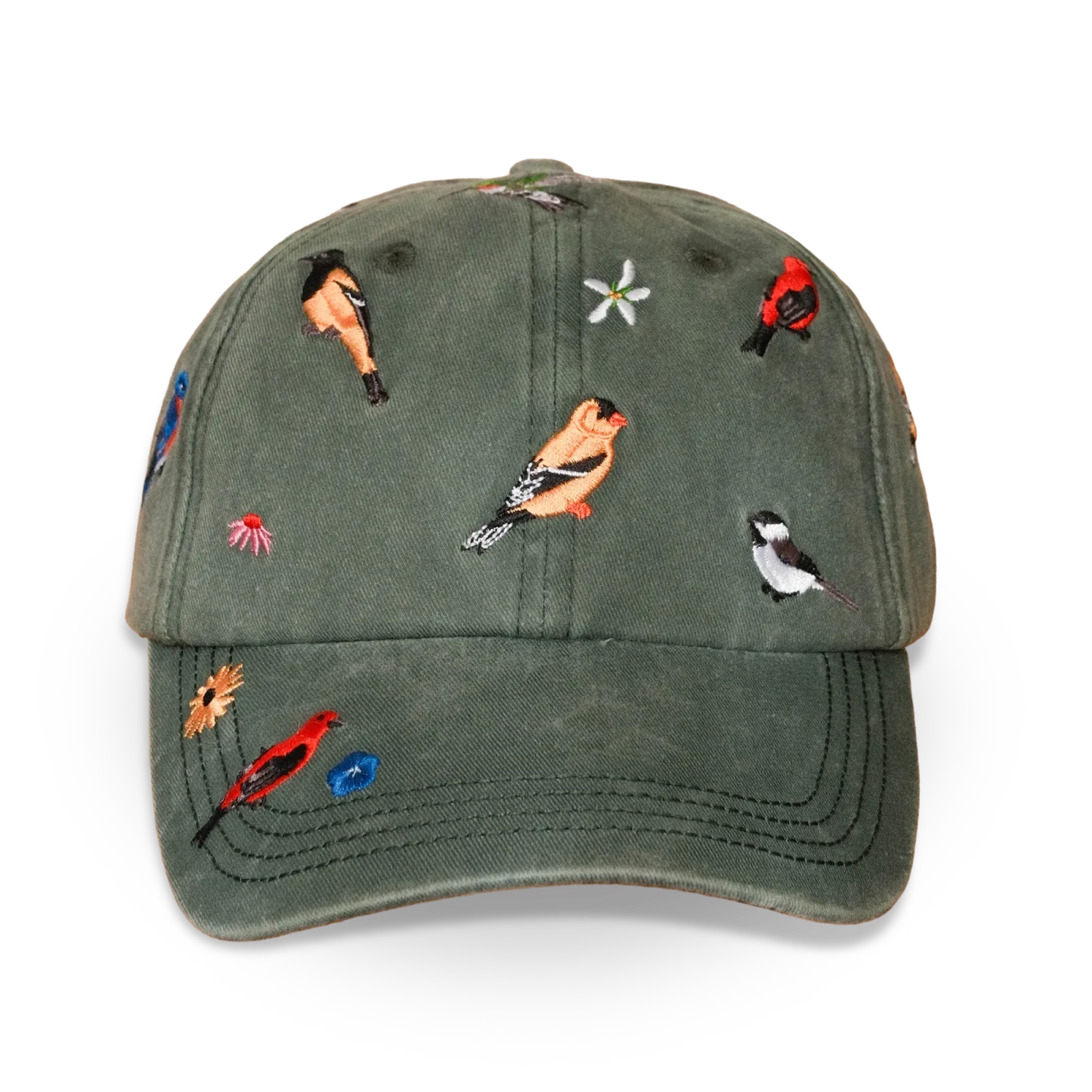 Bird Collective - Backyard Birds Washed Hat - 