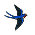 Barn Swallow Enamel Pin