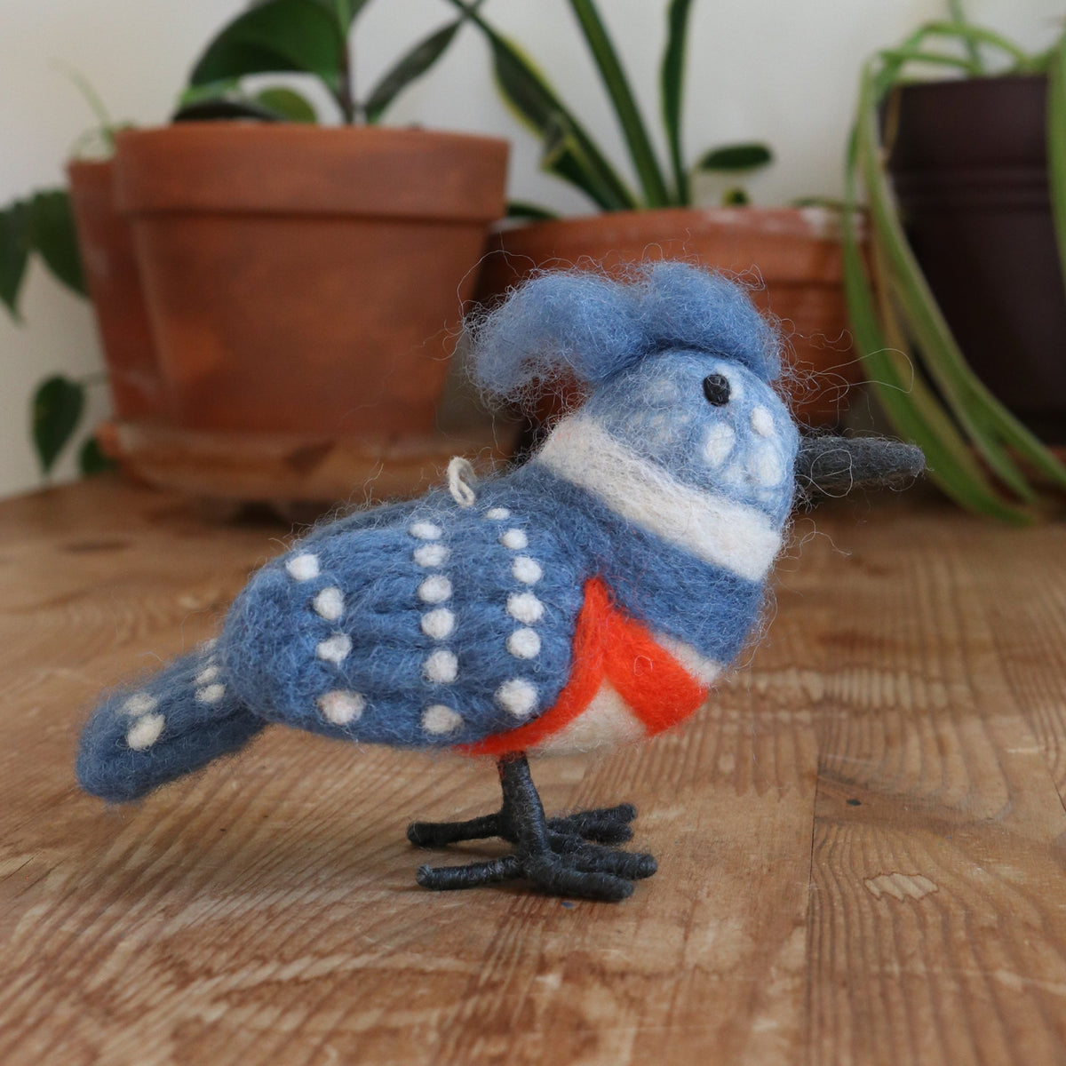 Bird Collective - Belted Kingfisher Ornament - 