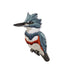 Belted Kingfisher Patch