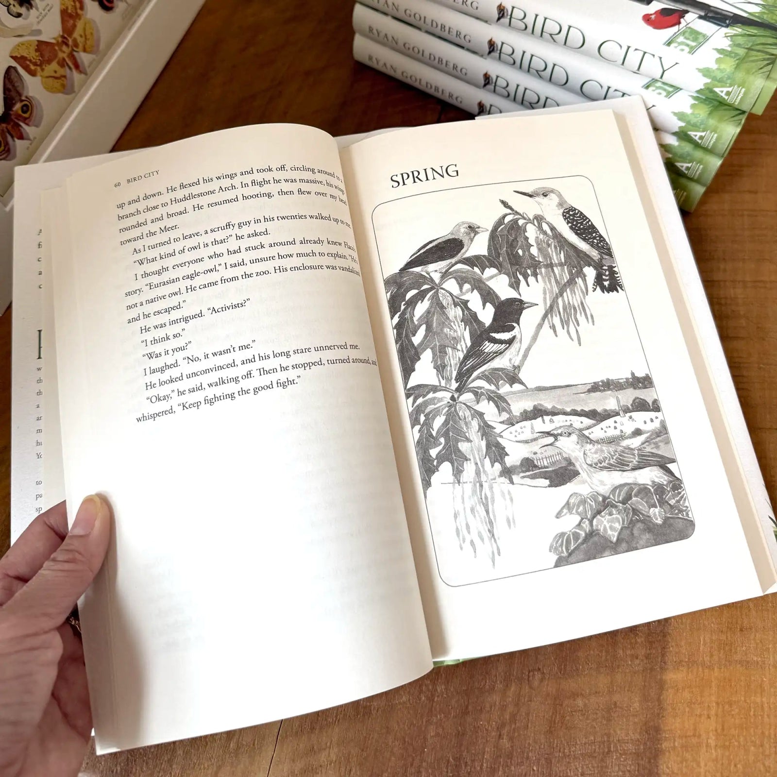 Bird Collective - Bird City - 