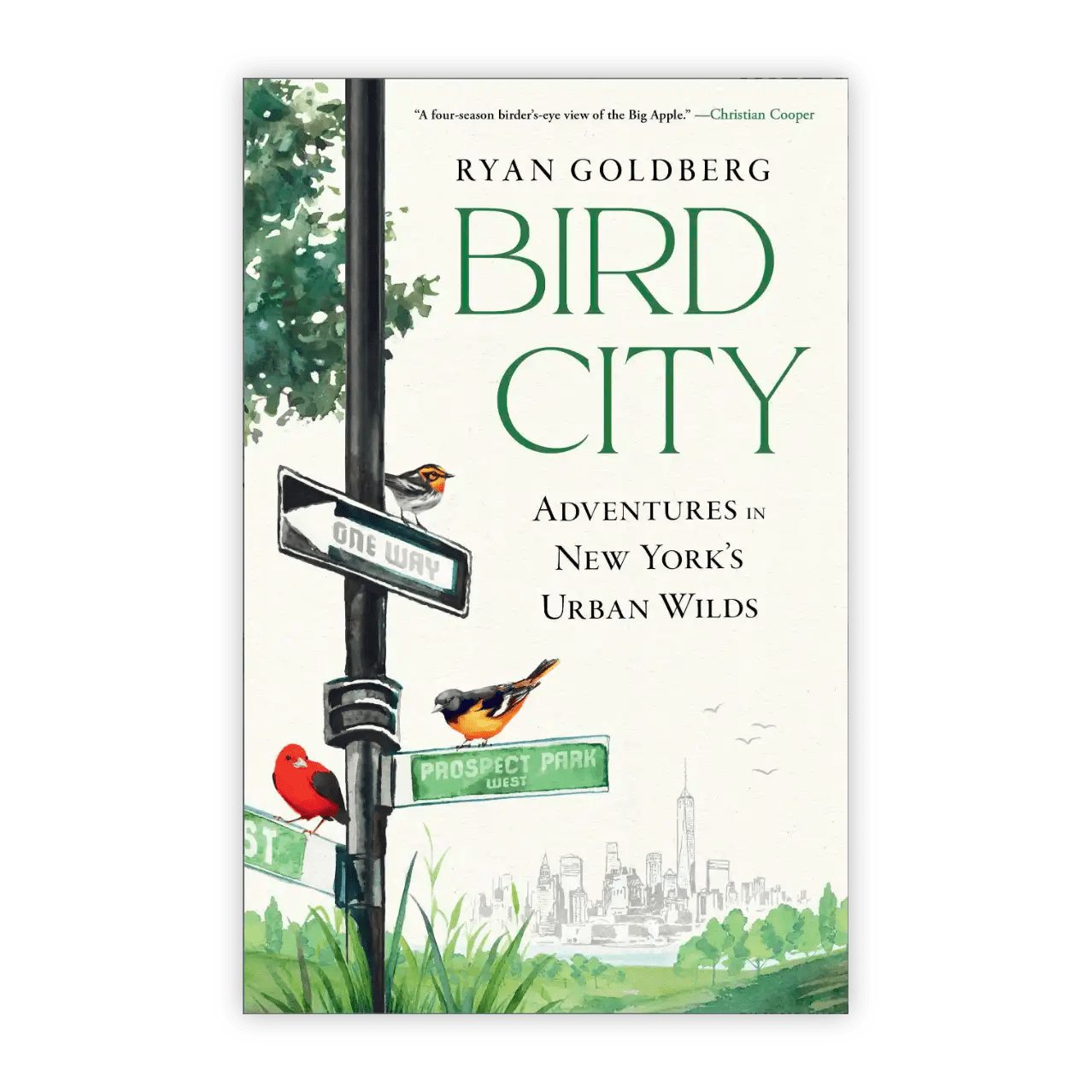 Bird Collective - Bird City - 