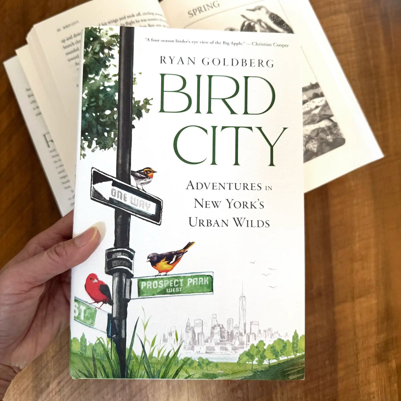 Bird Collective - Bird City - 