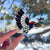 Bird Collective - Acorn Woodpecker Sticker - -
