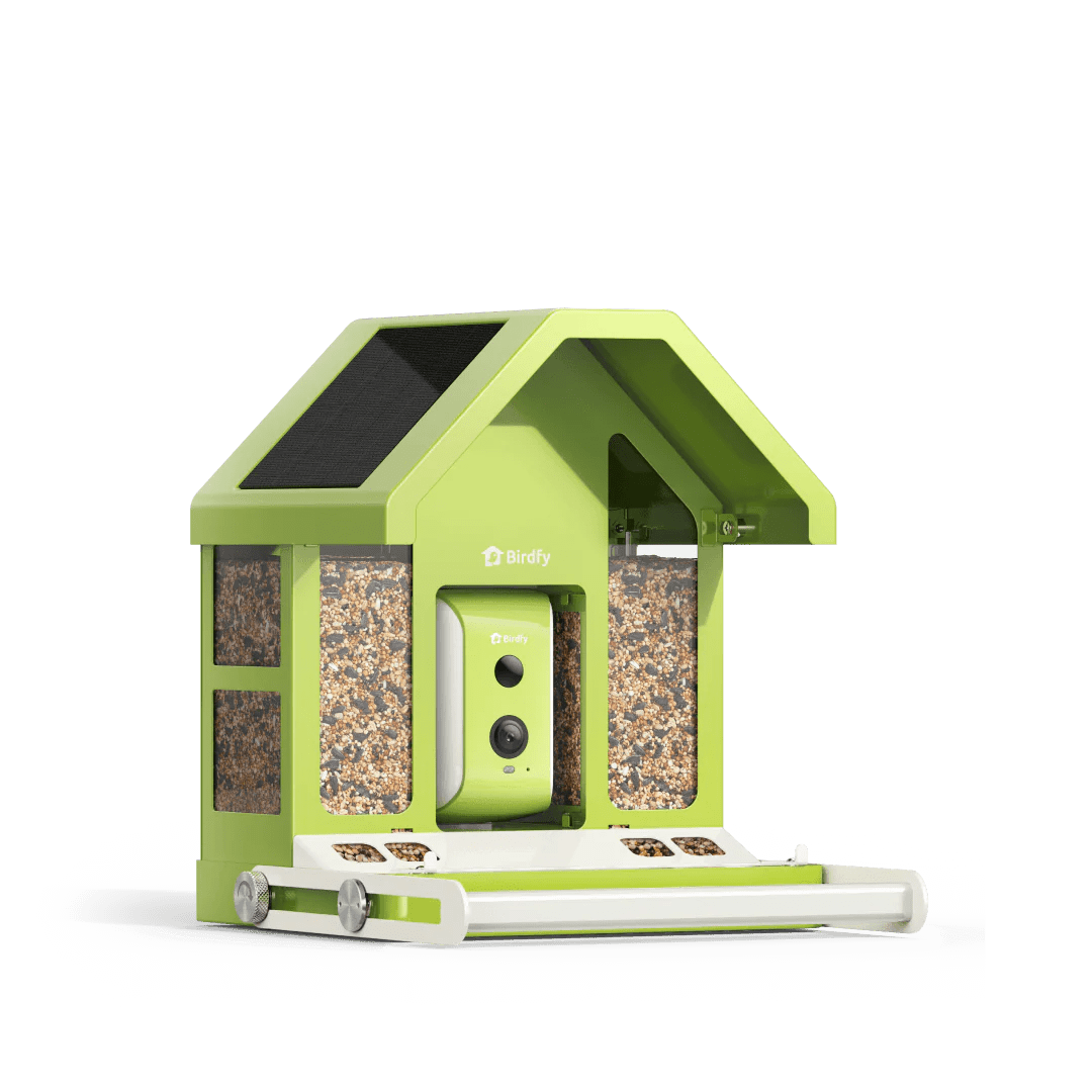 Bird Collective - Birdfy Metal Smart Bird Feeder With Camera - 