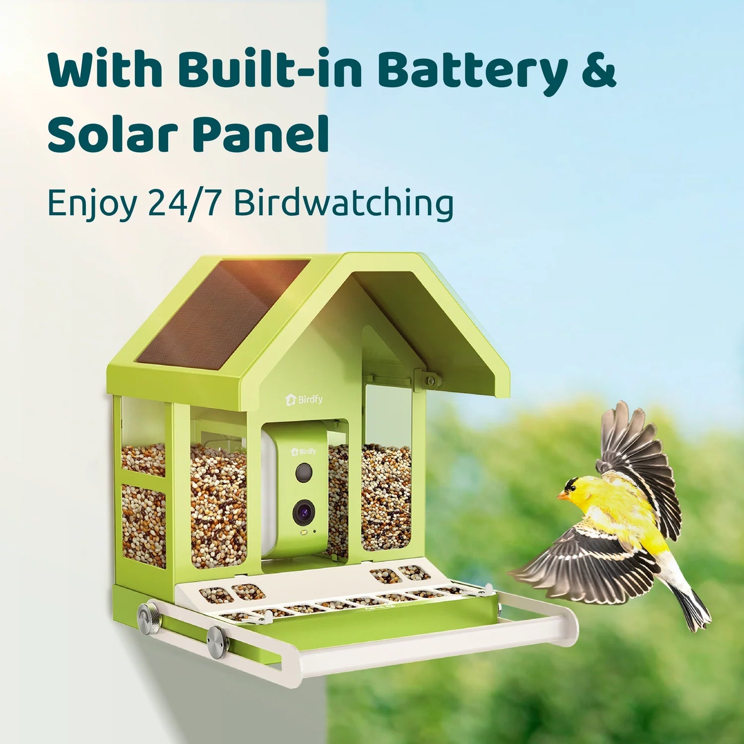 Bird Collective - Birdfy Metal Smart Bird Feeder With Camera - 