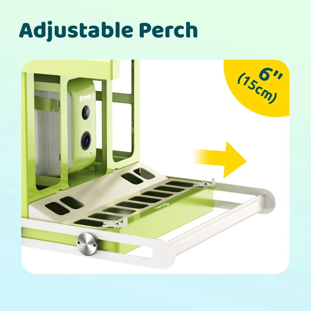 Bird Collective - Birdfy Metal Smart Bird Feeder With Camera - 