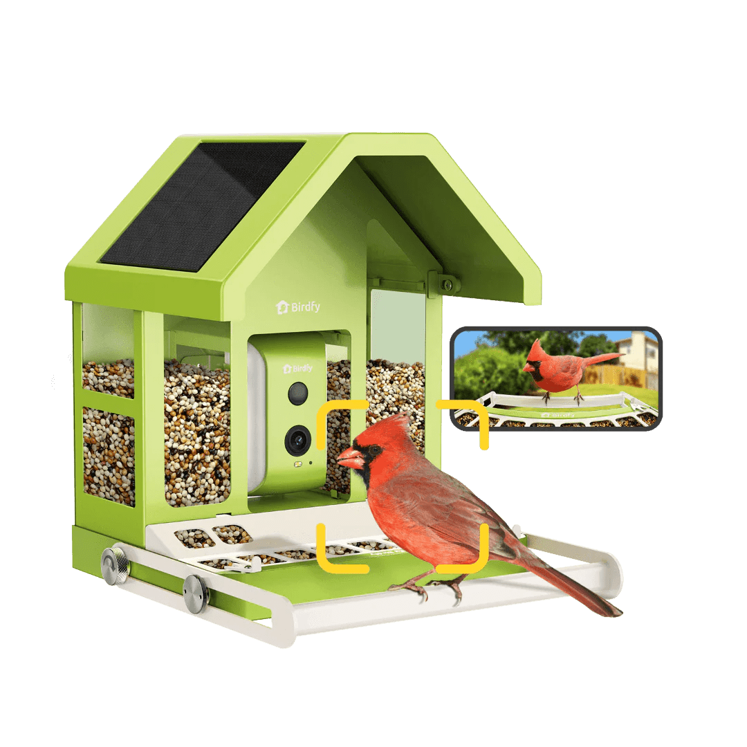 Bird Collective - Birdfy Metal Smart Bird Feeder With Camera - 