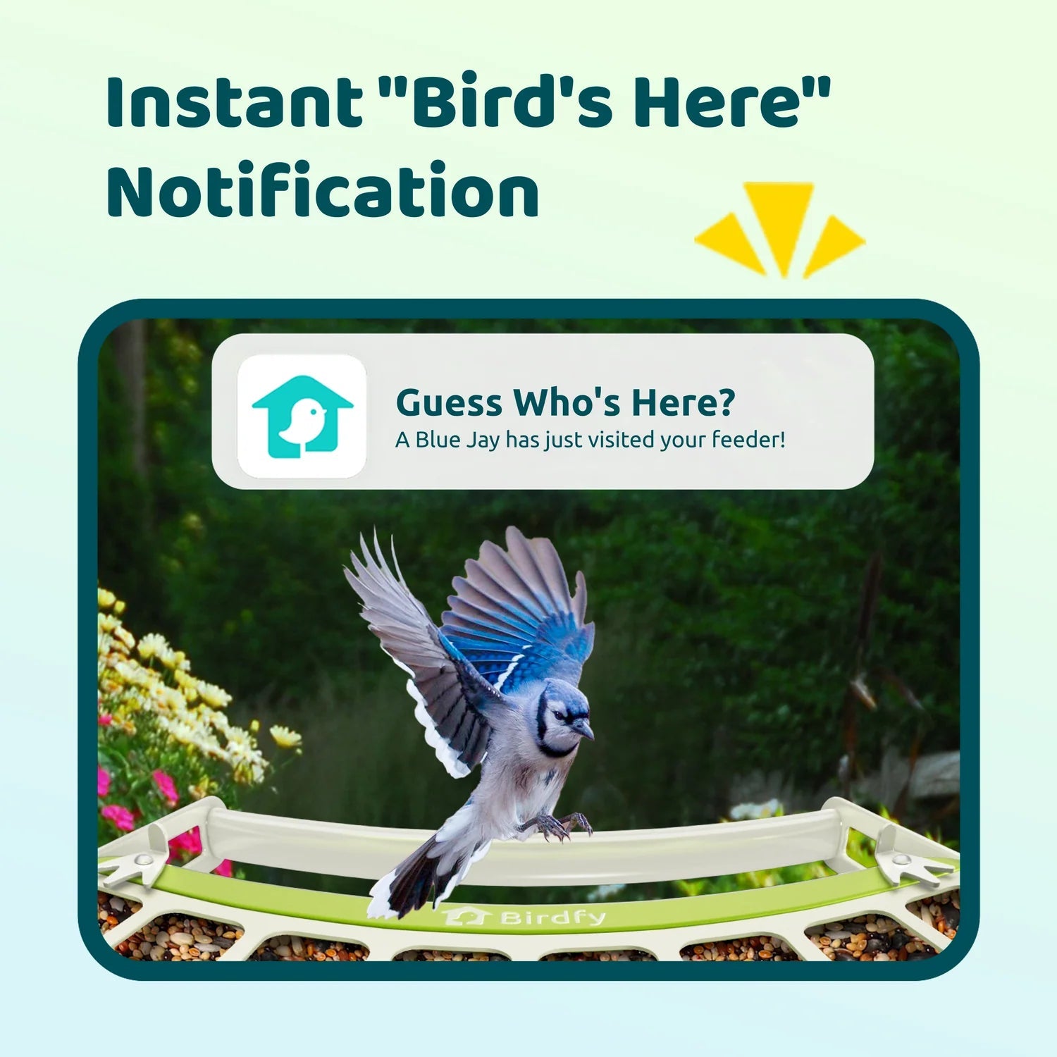 Bird Collective - Birdfy Metal Smart Bird Feeder With Camera - 