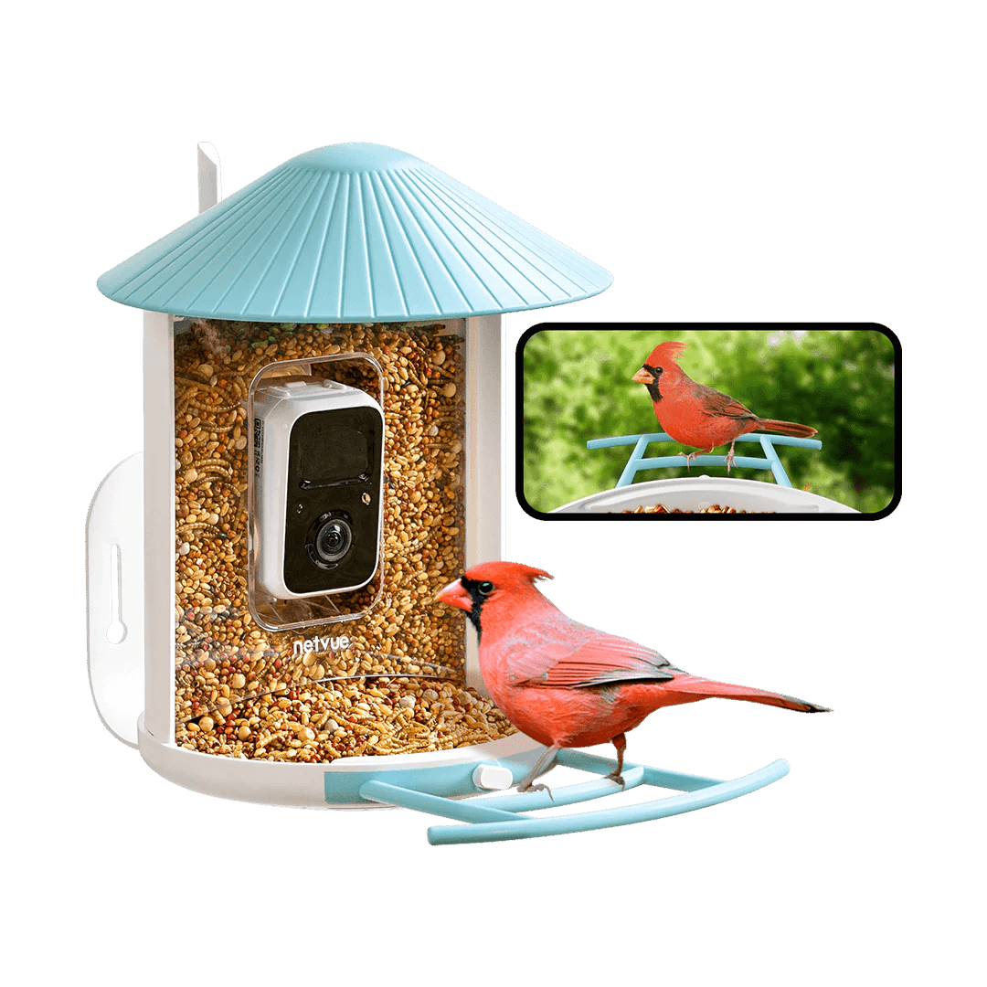 How to Reset Smart Camera Bird Feeder: Quick & Easy Guide