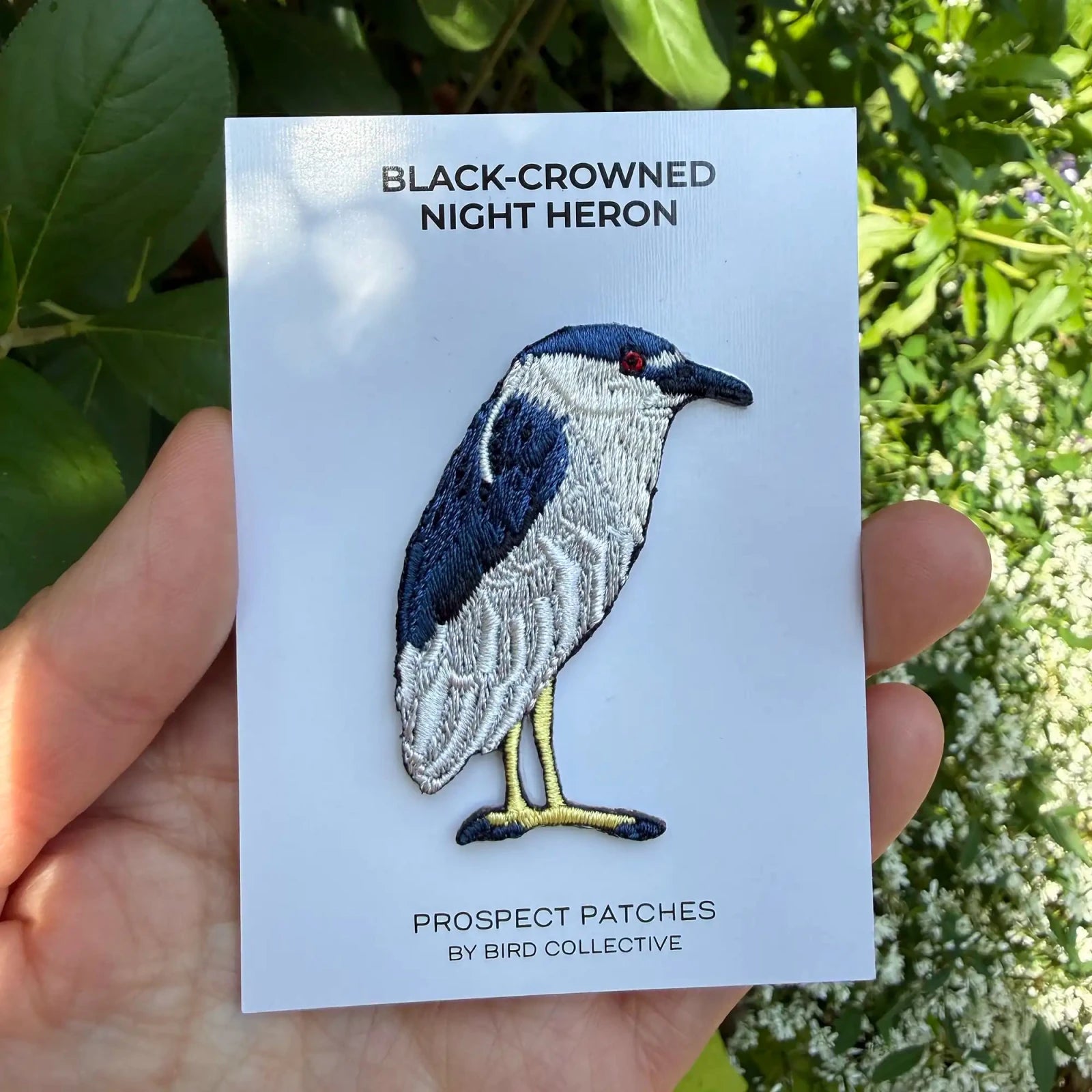 Bird Collective - Black-crowned Night Heron Patch - 