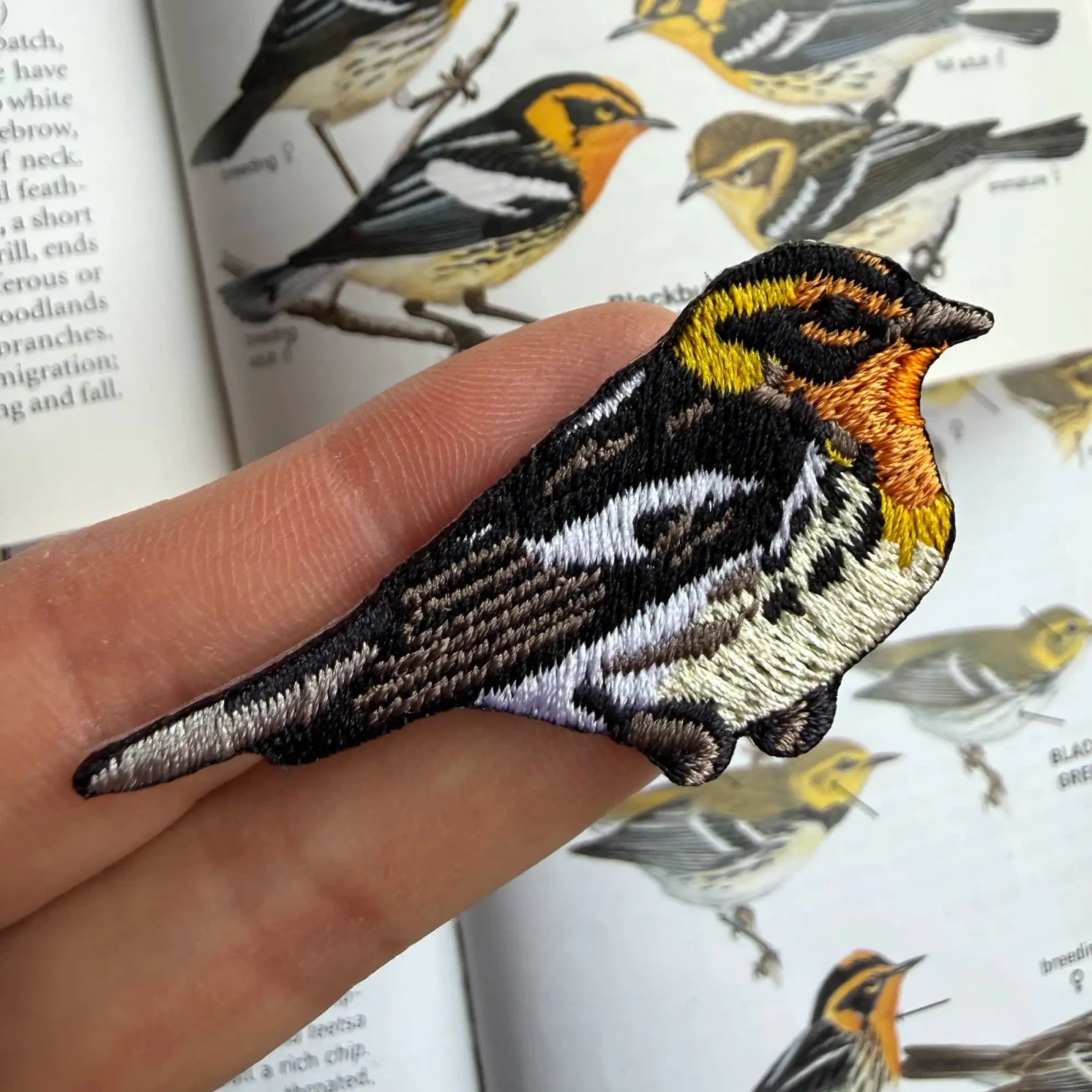 Bird Collective - Blackburnian Warbler Patch - 
