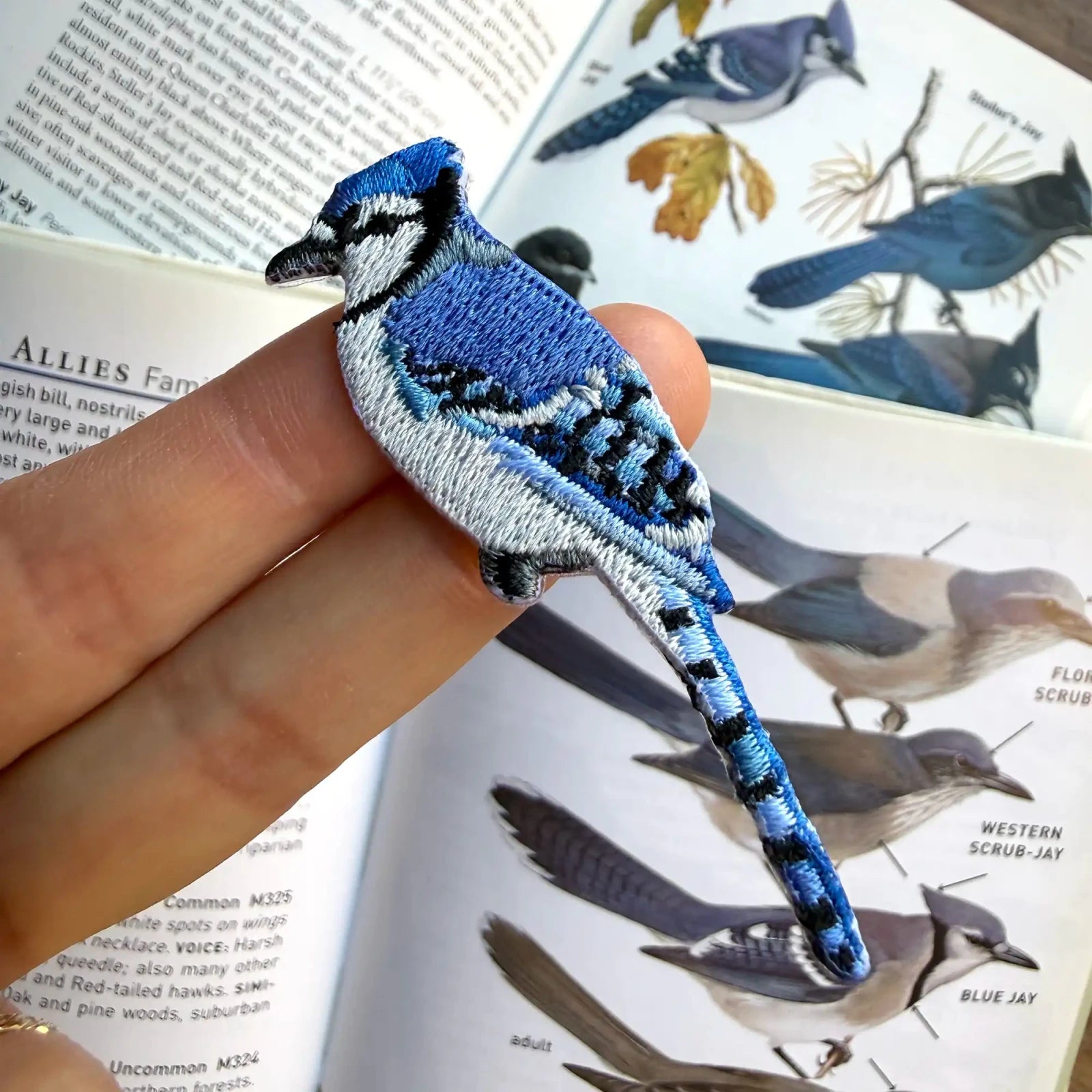Bird Collective - Blue Jay Patch - 