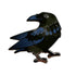Common Raven Enamel Pin
