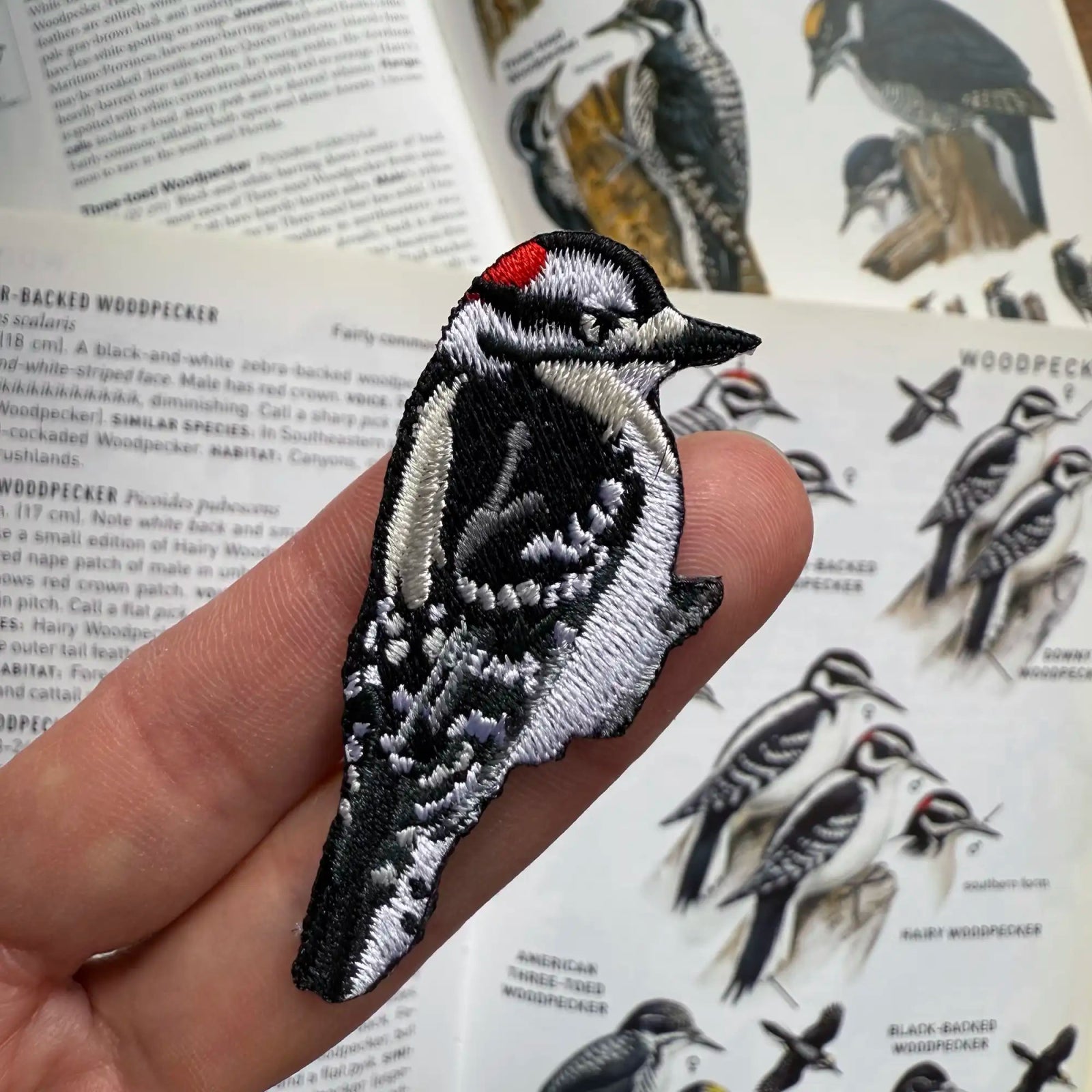 Bird Collective - Downy Woodpecker Patch - 