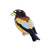 Evening Grosbeak Patch - Bird Collective