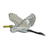 Great Egret Patch