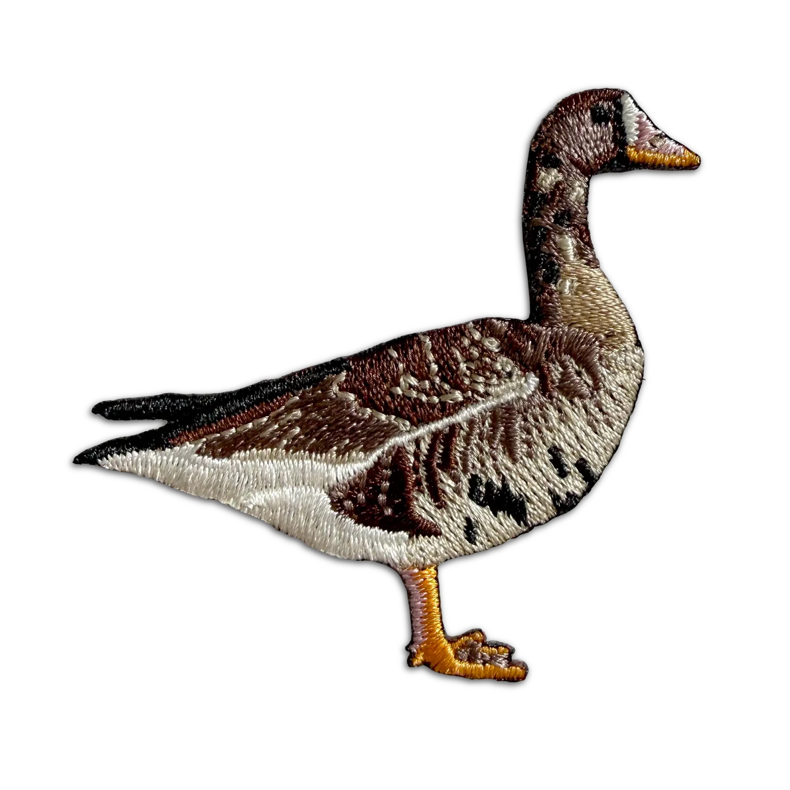 Bird Collective - Greater White-fronted Goose Patch - 