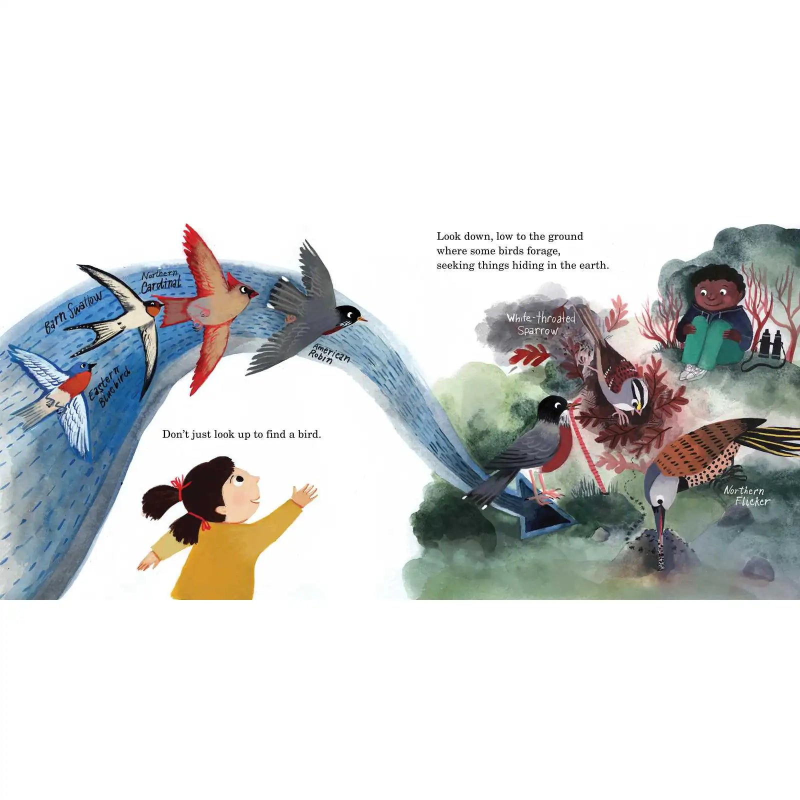 Bird Collective - How to Find a Bird - 