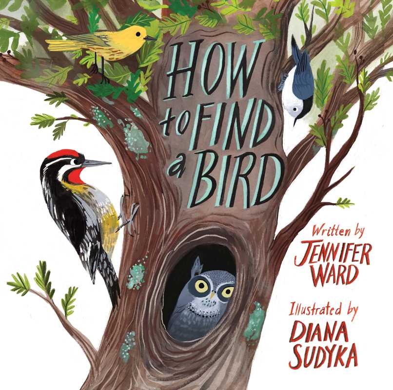 Bird Collective - How to Find a Bird - 