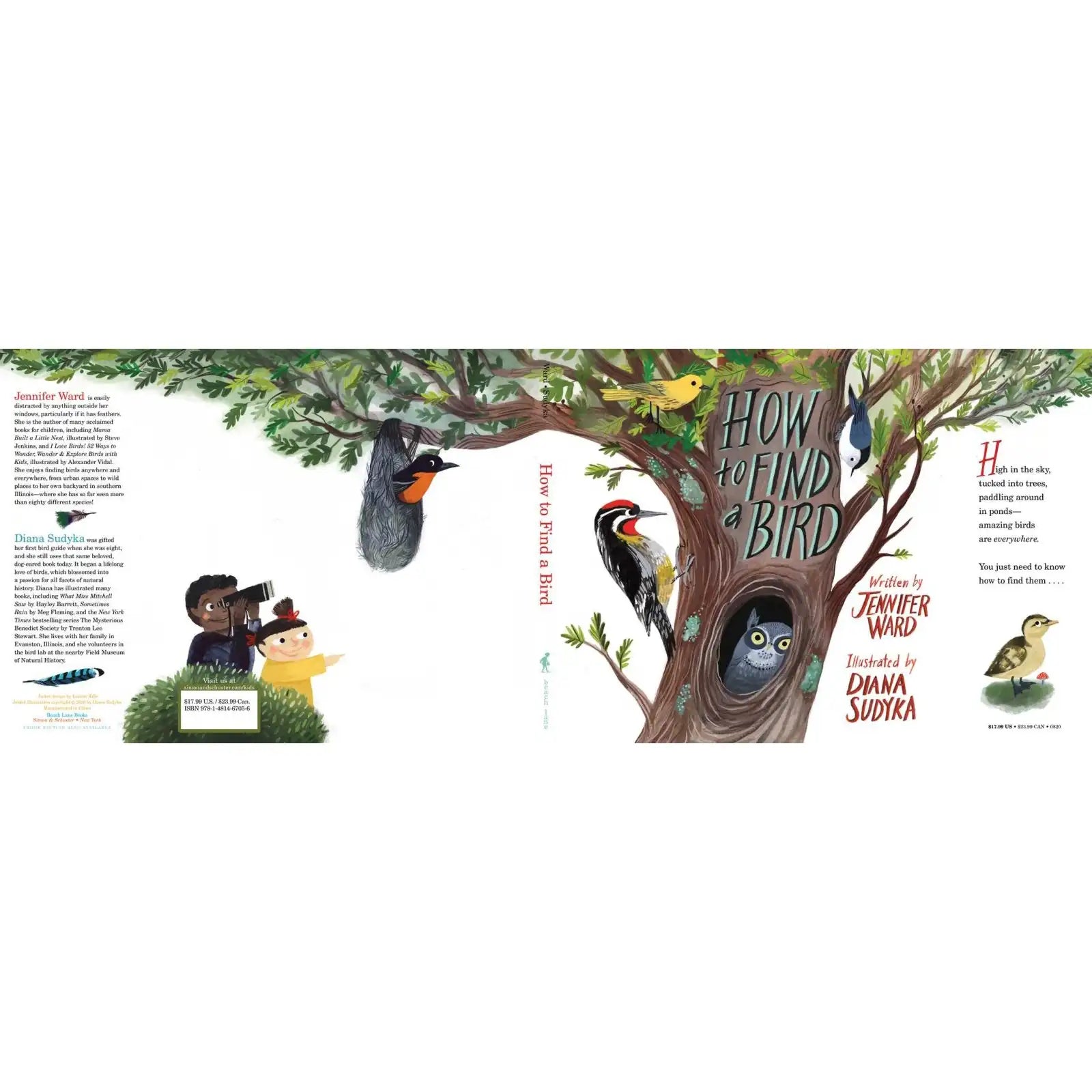 Bird Collective - How to Find a Bird - 