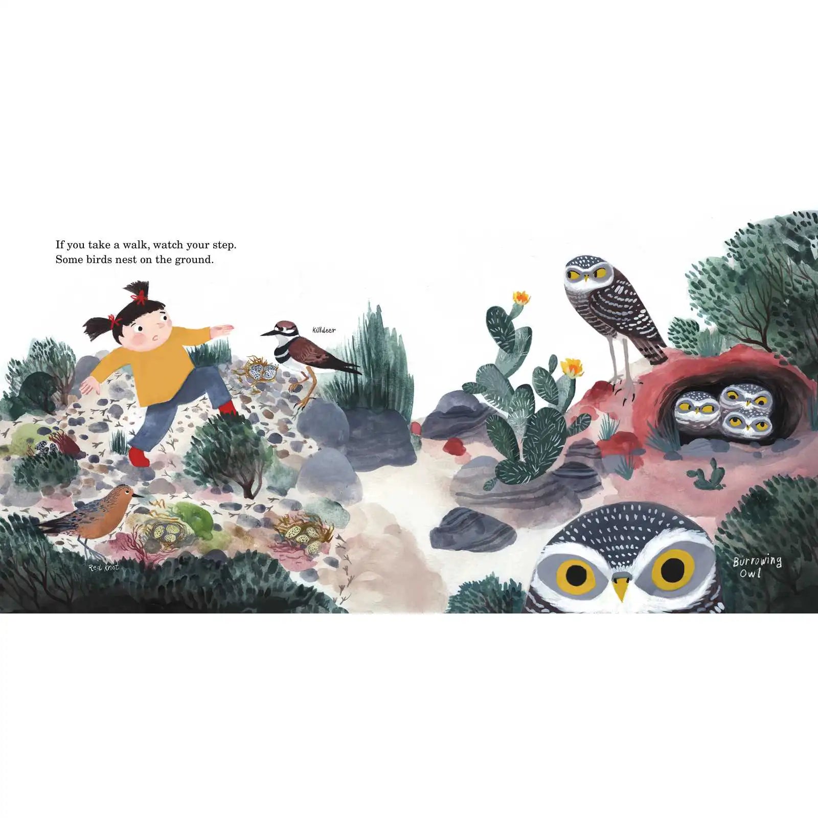 Bird Collective - How to Find a Bird - 