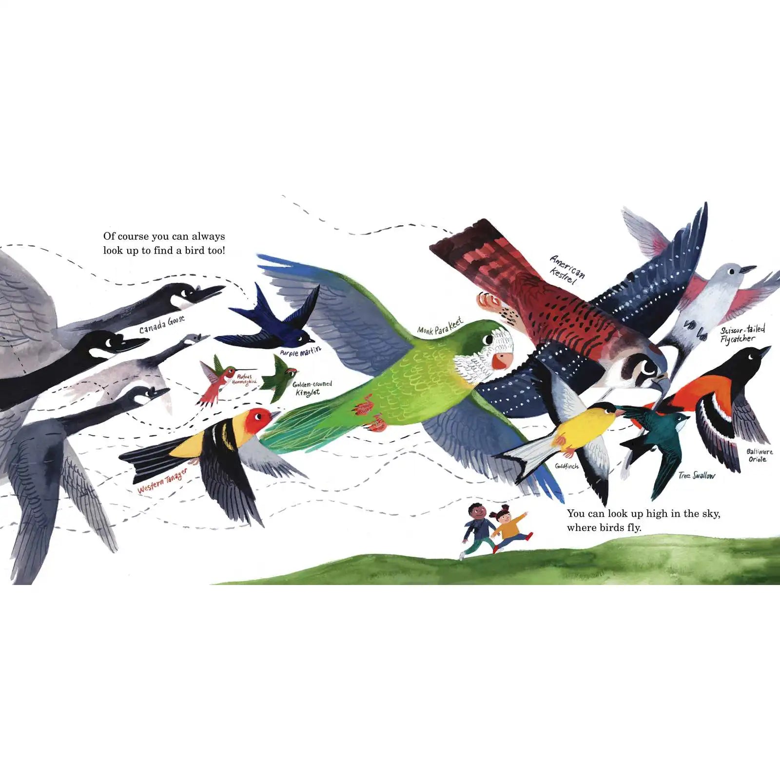 Bird Collective - How to Find a Bird - 