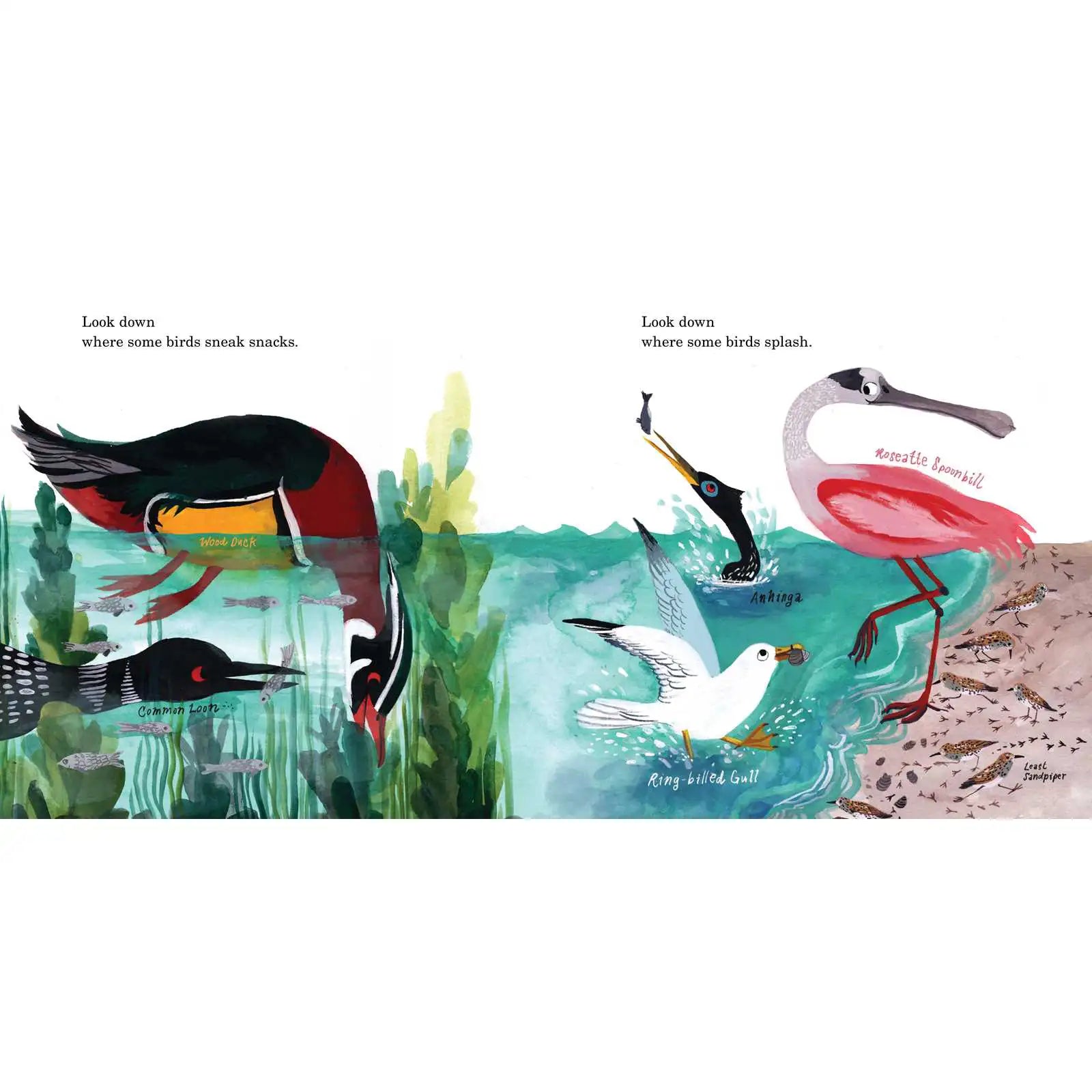 Bird Collective - How to Find a Bird - 