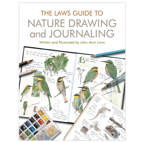 Bird Collective - Laws Guide To Nature Drawing and Journaling - 