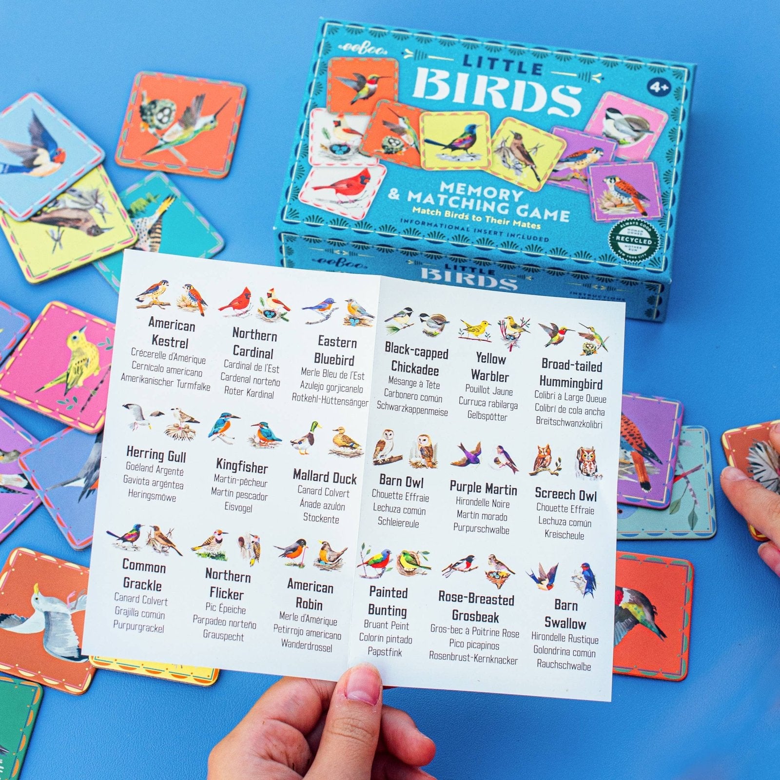 Bird Collective - Little Birds Memory & Matching Game - 