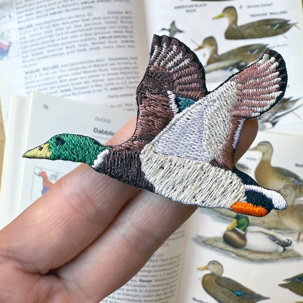 Bird Collective - Mallard Patch - 