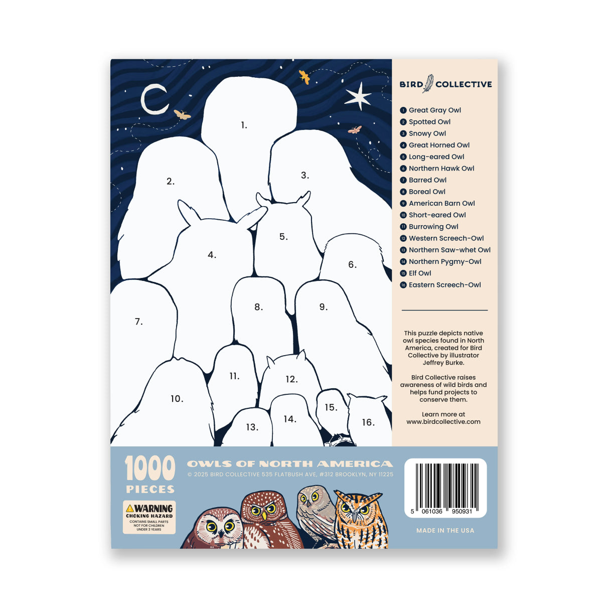 Bird Collective - Owls of North America Puzzle - 