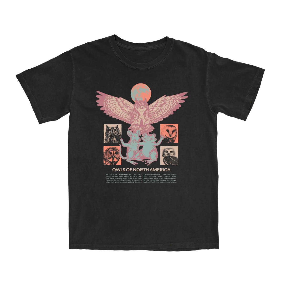Bird Collective - Owls of North America Tee - S - Black