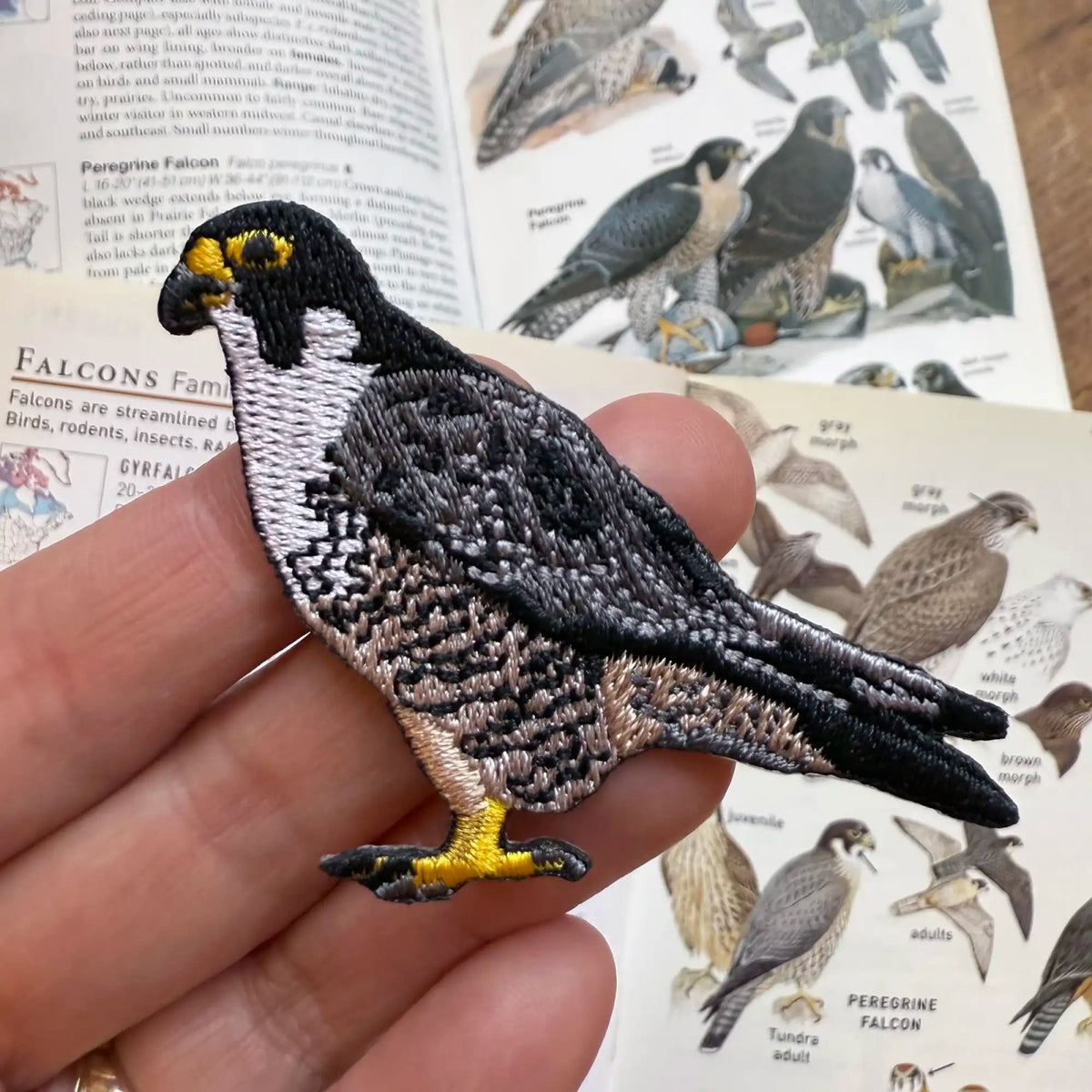 Peregrine Falcon Patch | Bird Collective