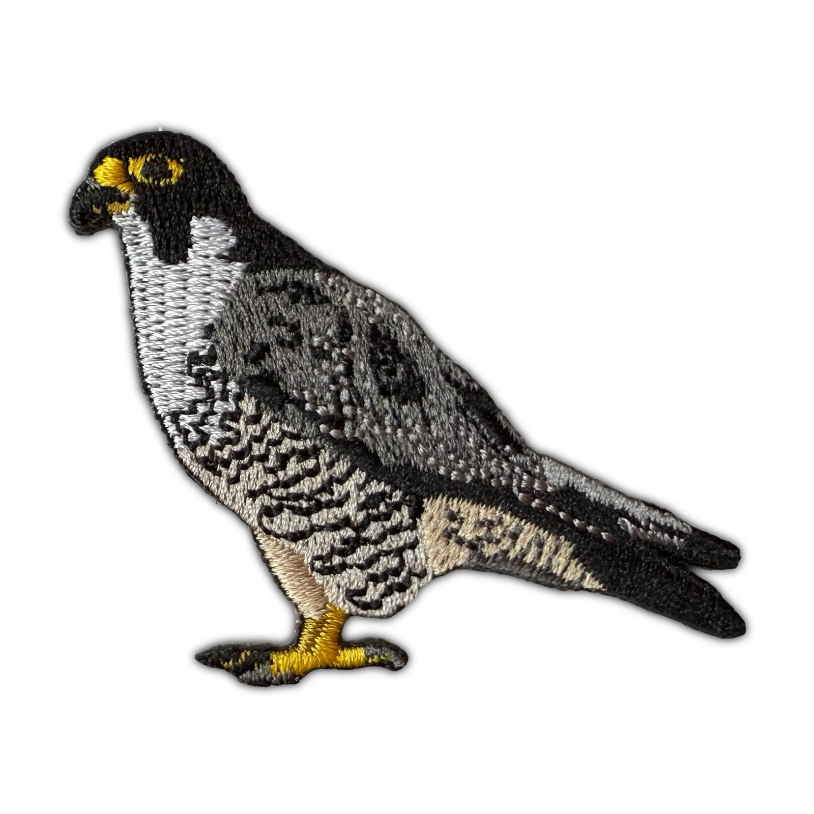 Bird Collective - Peregrine Falcon Patch - 