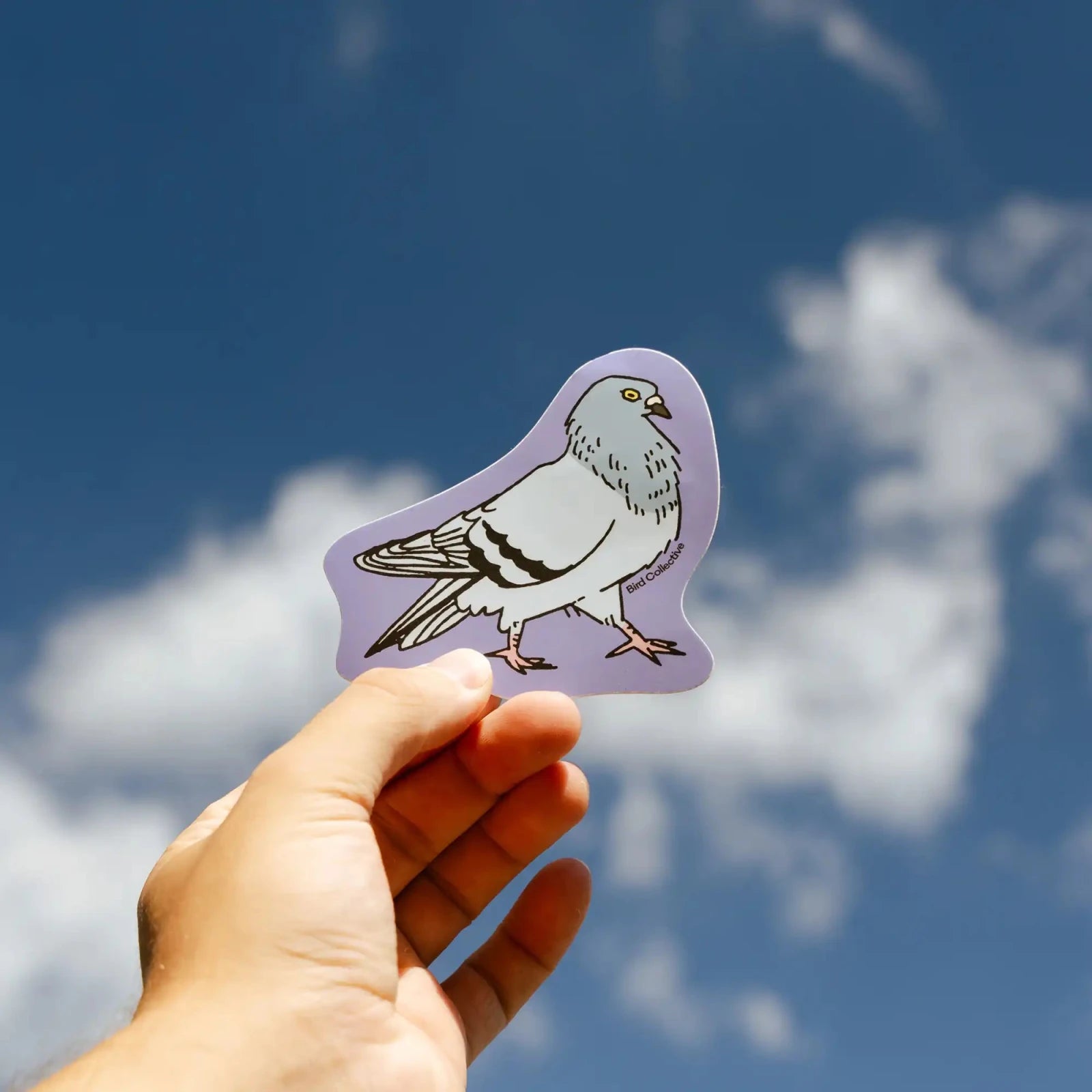 Bird Collective - Pigeon Sticker - 